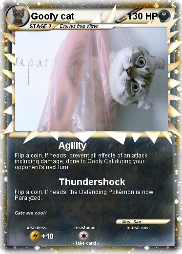 Pokemon Goofy cat