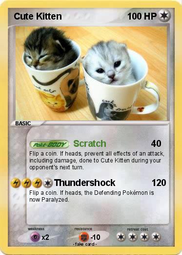 Pokemon Cute Kitten