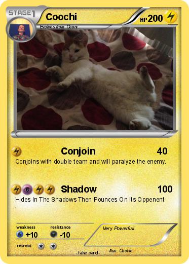 Pokemon Coochi