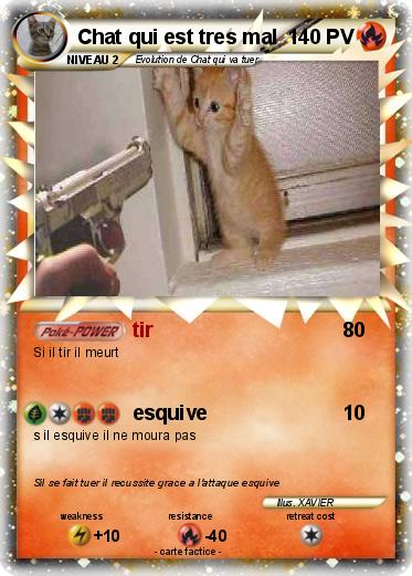 Pokemon Chat qui est tres mal