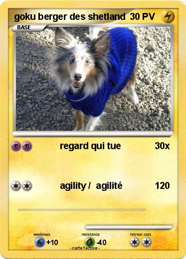 Pokemon goku berger des shetland
