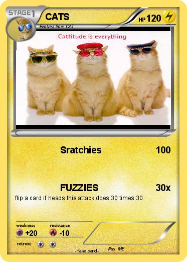 Pokemon CATS