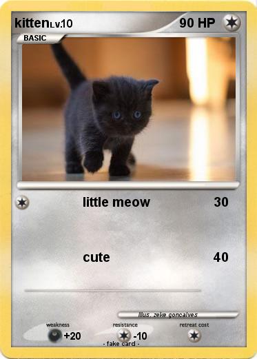 Pokemon kitten