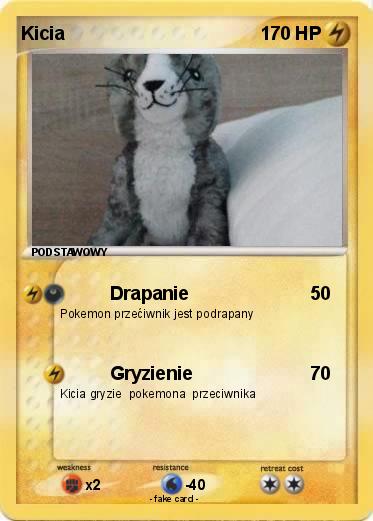 Pokemon Kicia