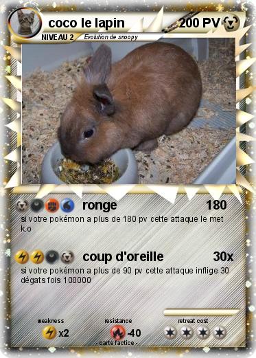Pokemon coco le lapin