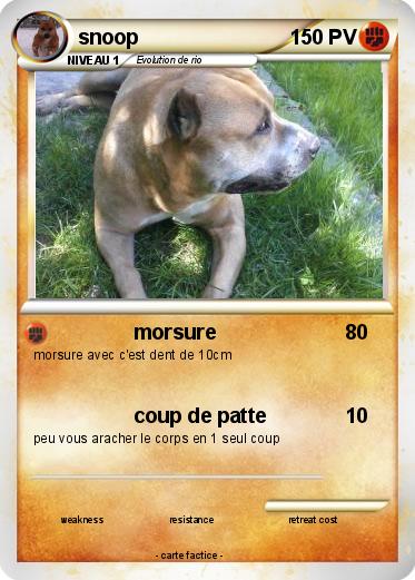 Pokemon snoop