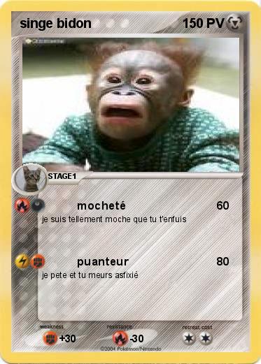 Pokemon singe bidon