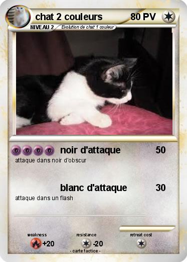 Pokemon chat 2 couleurs