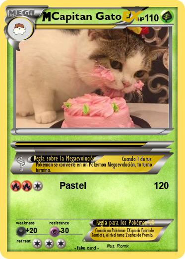 Pokemon Capitan Gato