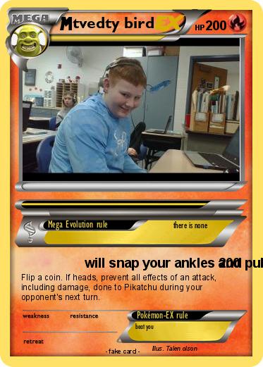 Pokemon tvedty bird