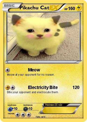 Pokemon Pikachu Cat