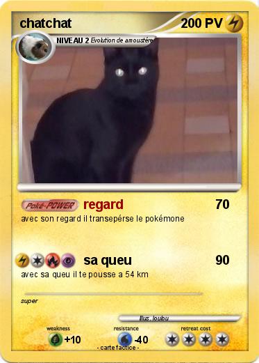 Pokemon chatchat