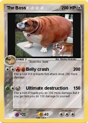 Pokemon The Boss