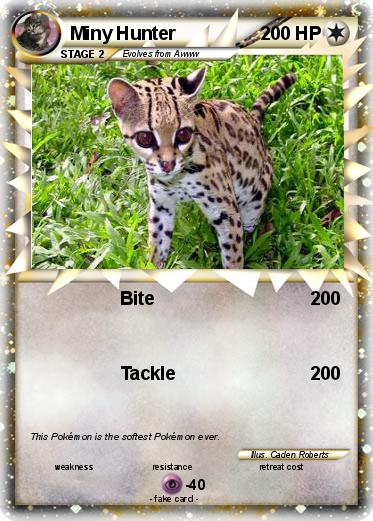 Pokemon Miny Hunter