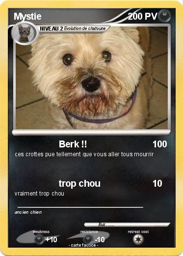 Pokemon Mystie