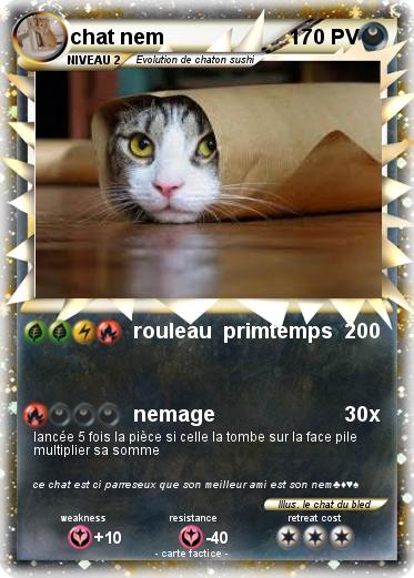 Pokemon chat nem