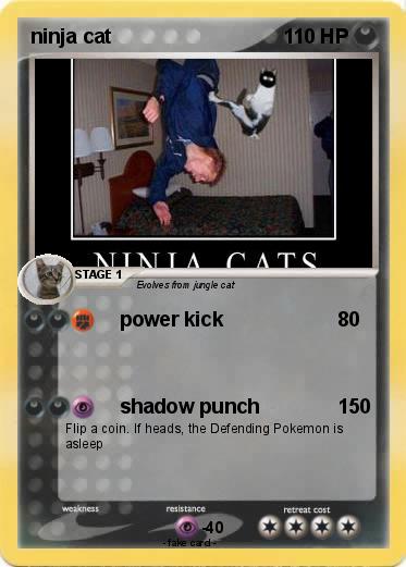 Pokemon ninja cat