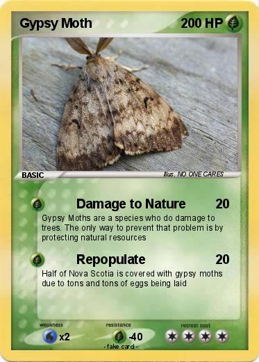 Pokemon Gypsy Moth
