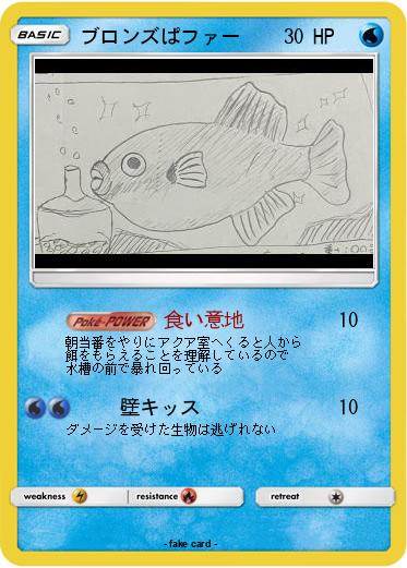 Pokemon ブロンズぱファー