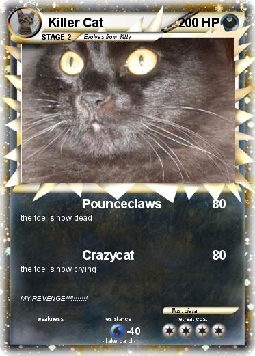 Pokemon Killer Cat