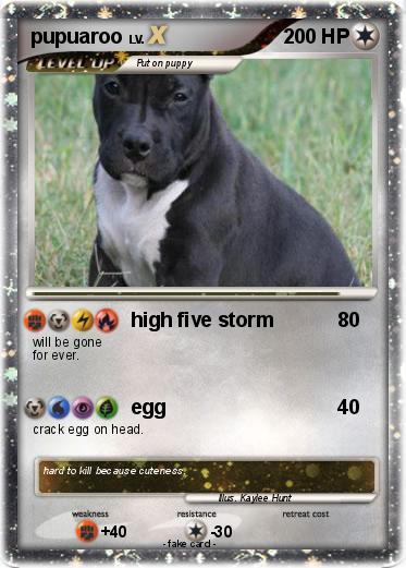 Pokemon pupuaroo