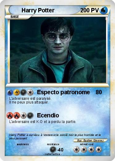 Pokemon Harry Potter