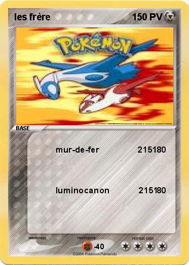 Pokemon les frère               