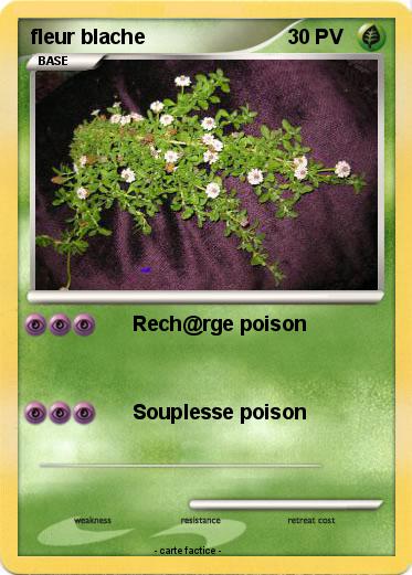Pokemon fleur blache