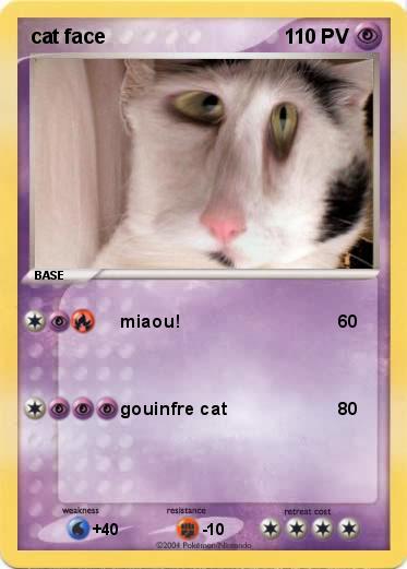 Pokemon cat face