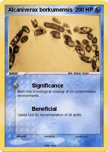 Pokemon Alcaniverax borkumensis