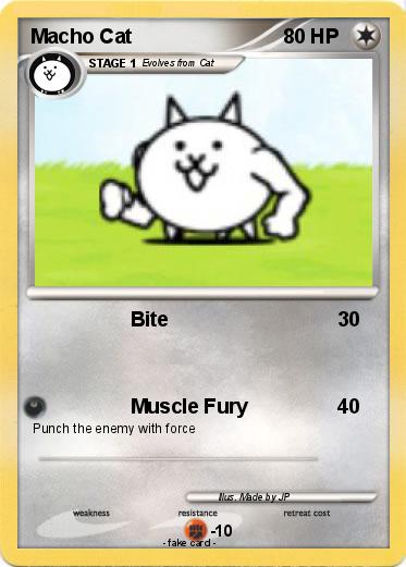 Pokemon Macho Cat