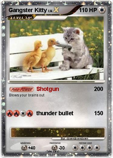 Pokemon Gangster Kitty