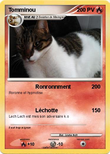 Pokemon Tomminou