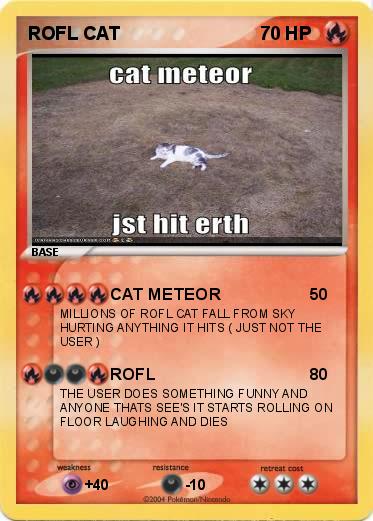 Pokemon ROFL CAT