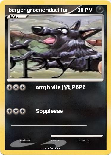 Pokemon berger groenendael fail