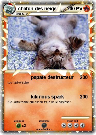 Pokemon chaton des neige