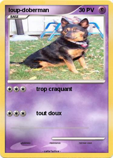 Pokemon loup-doberman