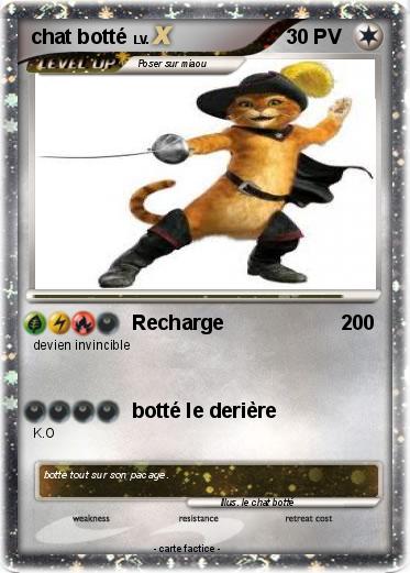 Pokemon chat botté