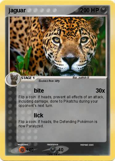 Pokemon jaguar
