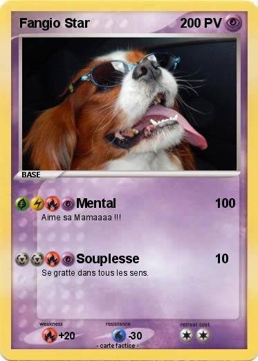 Pokemon Fangio Star