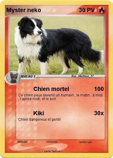 Pokemon Myster neko