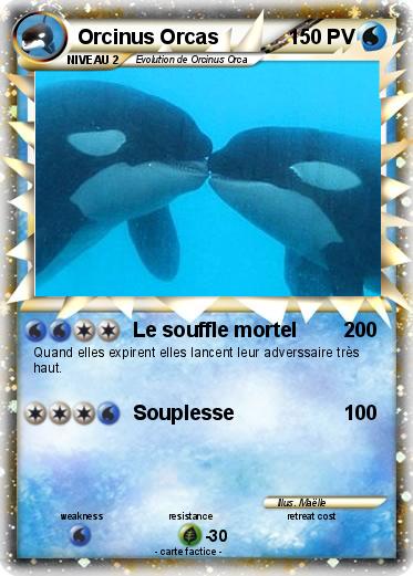 Pokemon Orcinus Orcas