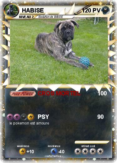Pokemon HABISE