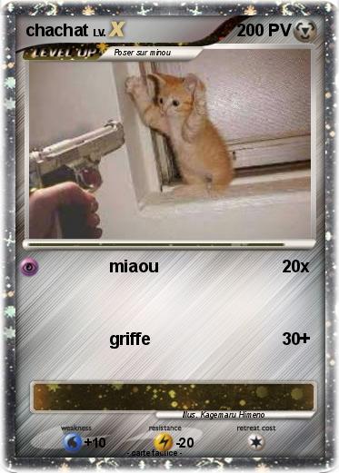 Pokemon chachat