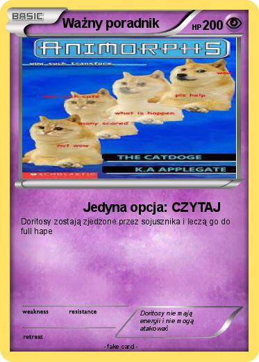 Pokemon Ważny poradnik