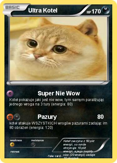 Pokemon Ultra Koteł