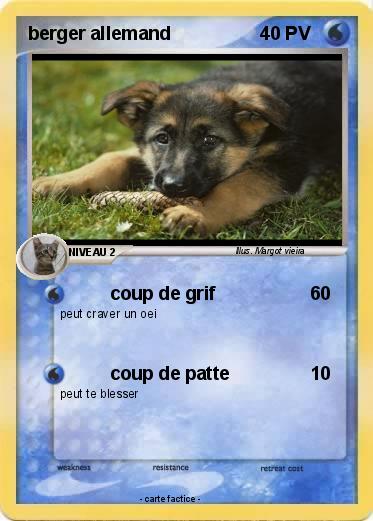 Pokemon berger allemand