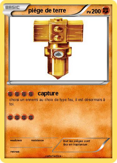 Pokemon piège de terre