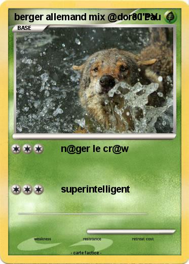 Pokemon berger allemand mix @dore l'eau