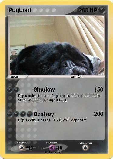 Pokemon PugLord